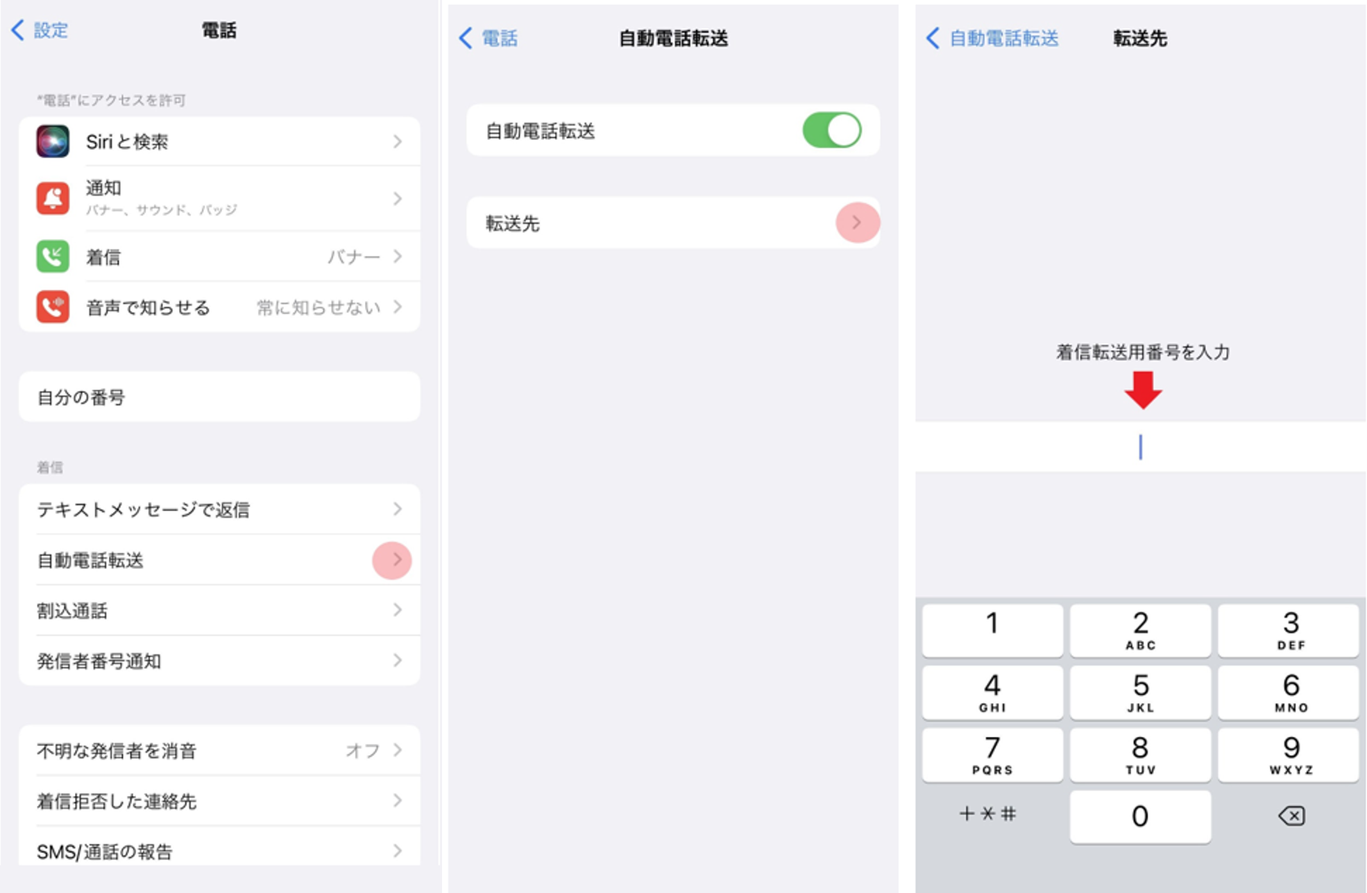 iPhone転送設定画面2